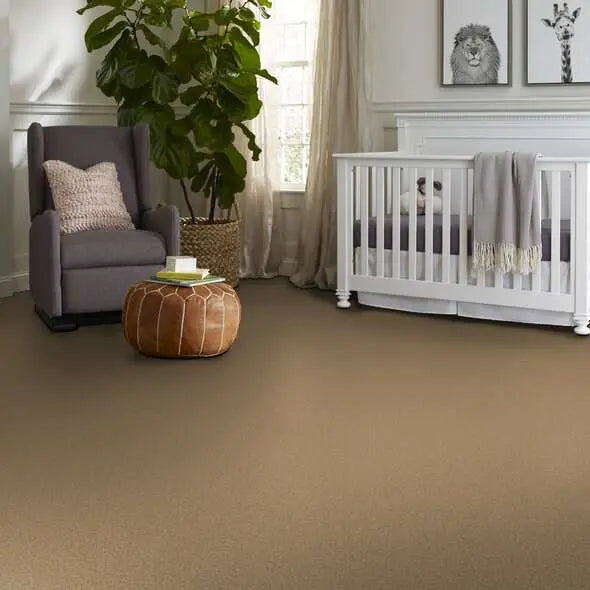 Colorwall - Tonal Comfort I - Carpet Shaw Floors