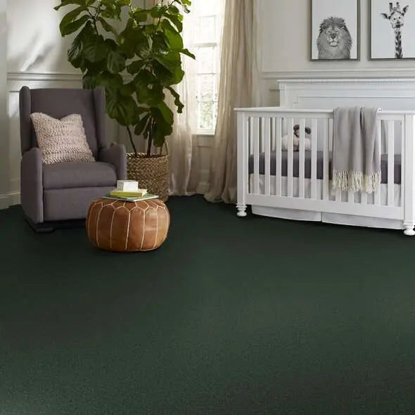 Colorwall - Tonal Comfort I - Carpet Shaw Floors