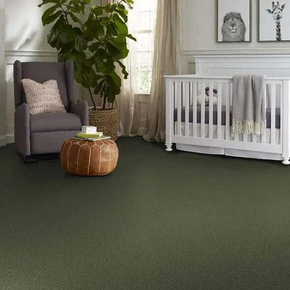 Colorwall - Tonal Comfort I - Carpet Shaw Floors