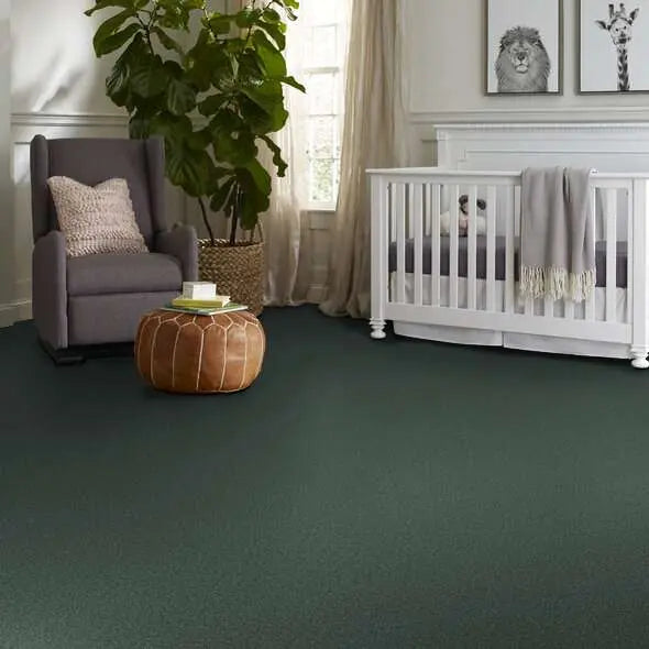 Colorwall - Tonal Comfort I - Carpet Shaw Floors