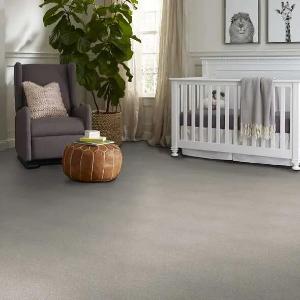 Colorwall - Tonal Comfort I - Carpet Shaw Floors