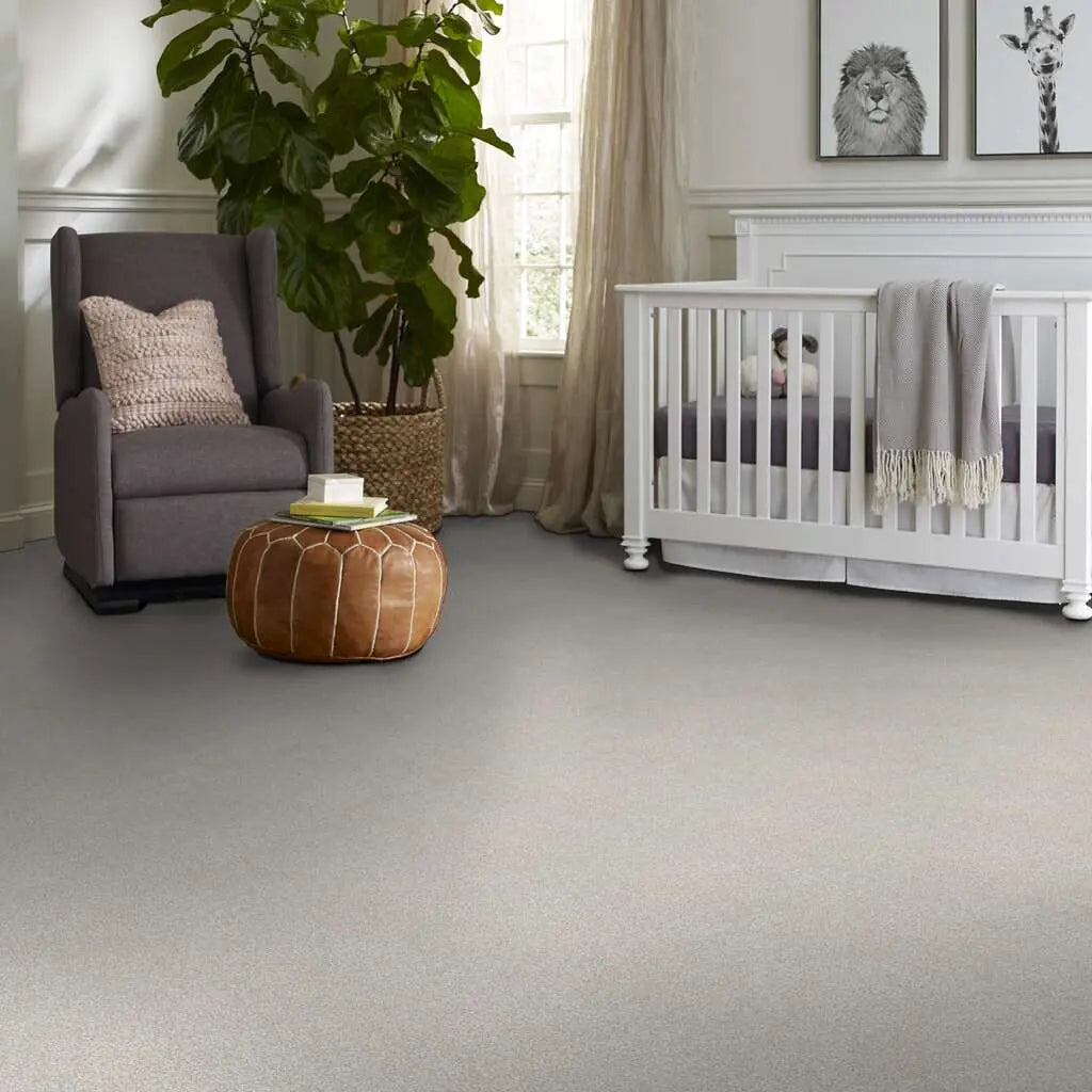 Colorwall - Tonal Comfort I - Carpet Shaw Floors