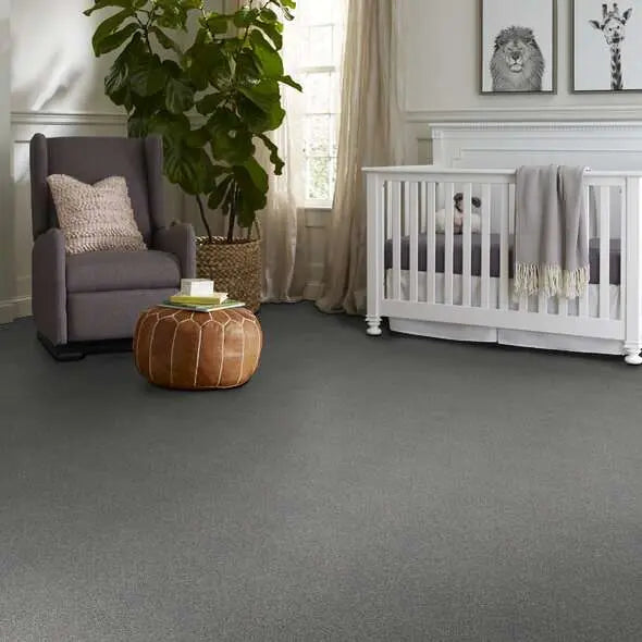 Colorwall - Tonal Comfort I - Carpet Shaw Floors