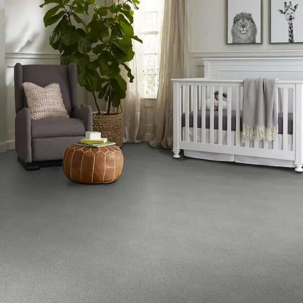 Colorwall - Tonal Comfort I - Carpet Shaw Floors