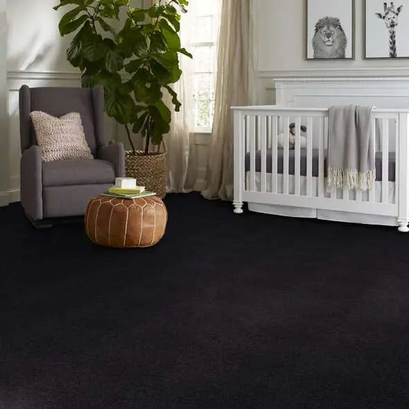 Colorwall - Tonal Comfort I - Carpet Shaw Floors