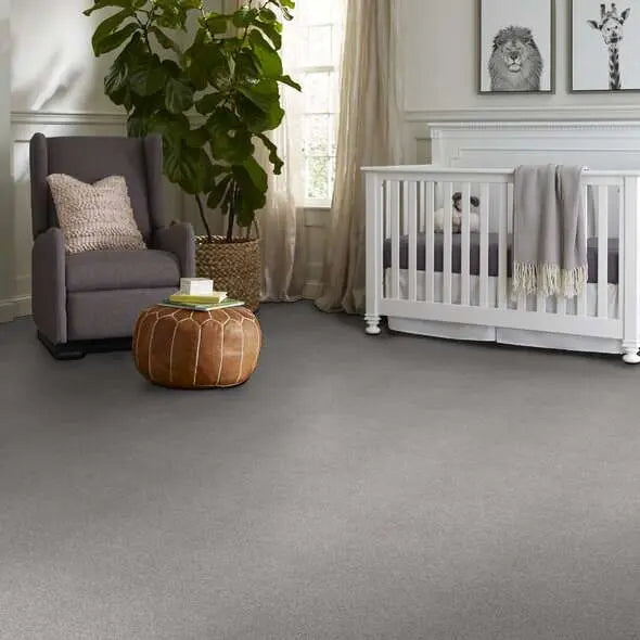 Colorwall - Tonal Comfort I - Carpet Shaw Floors