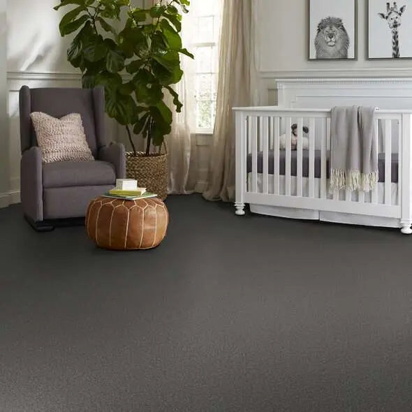 Colorwall - Tonal Comfort I - Carpet Shaw Floors