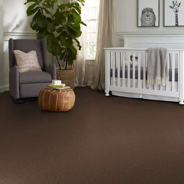 Colorwall - Tonal Comfort I - Carpet Shaw Floors