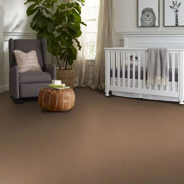 Colorwall - Tonal Comfort I - Carpet Shaw Floors