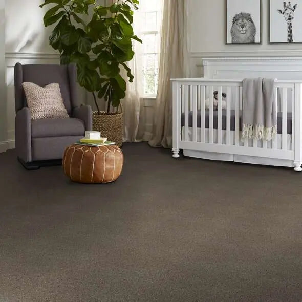 Colorwall - Tonal Comfort I - Carpet Shaw Floors