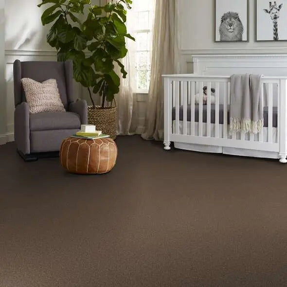 Colorwall - Tonal Comfort I - Carpet Shaw Floors