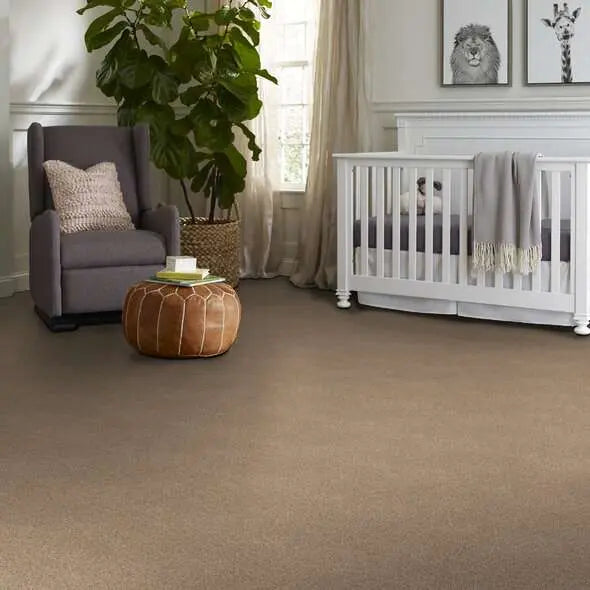 Colorwall - Tonal Comfort I - Carpet Shaw Floors