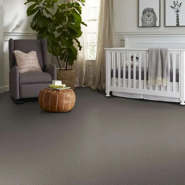 Colorwall - Tonal Comfort I - Carpet Shaw Floors