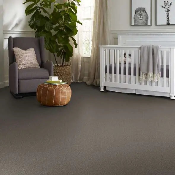 Colorwall - Tonal Comfort I - Carpet Shaw Floors