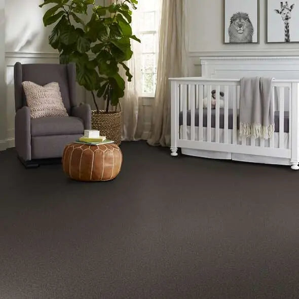 Colorwall - Tonal Comfort I - Carpet Shaw Floors