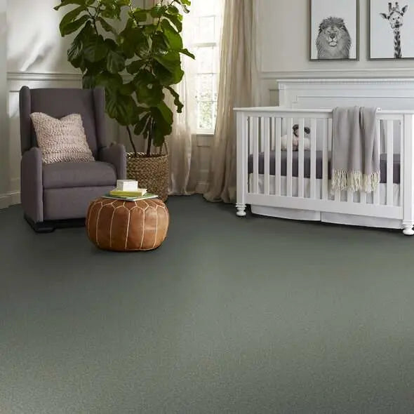 Colorwall - Tonal Comfort II - Carpet Shaw Floors