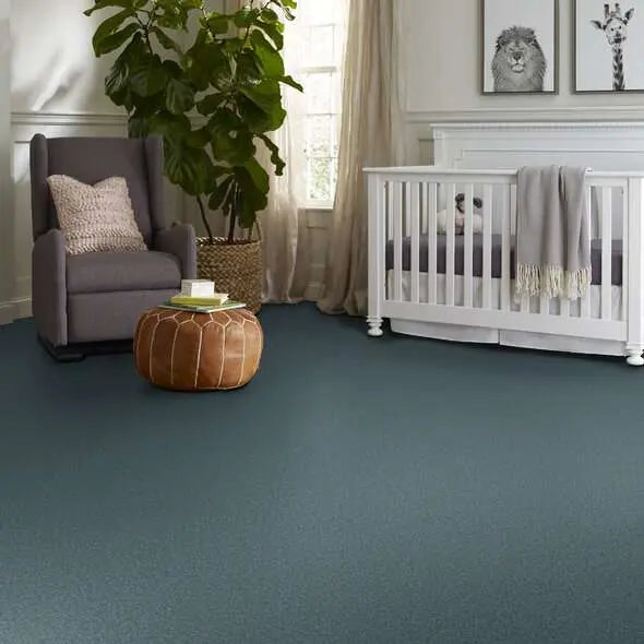 Colorwall - Tonal Comfort II - Carpet Shaw Floors