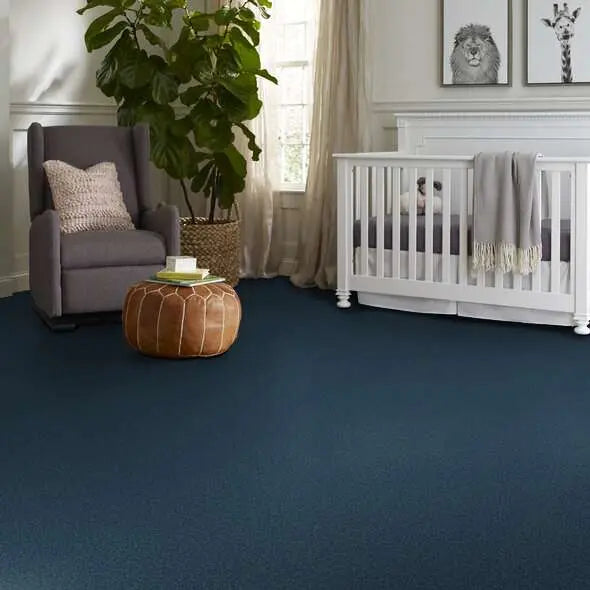 Colorwall - Tonal Comfort II - Carpet Shaw Floors