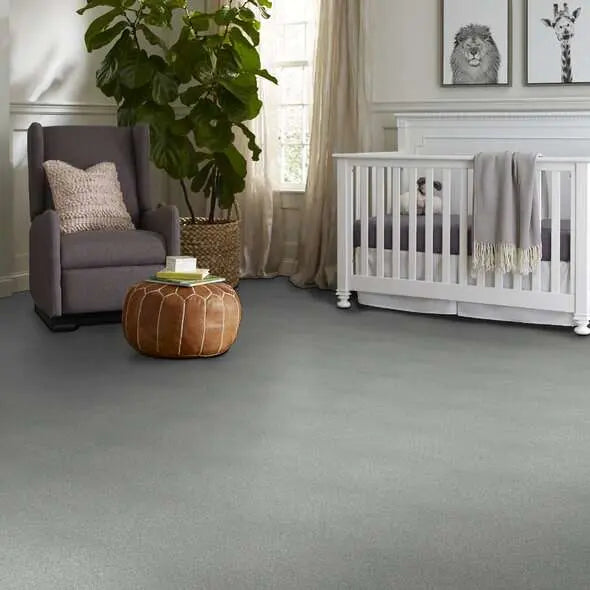 Colorwall - Tonal Comfort II - Carpet Shaw Floors