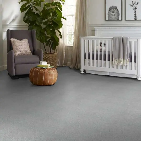 Colorwall - Tonal Comfort II - Carpet Shaw Floors