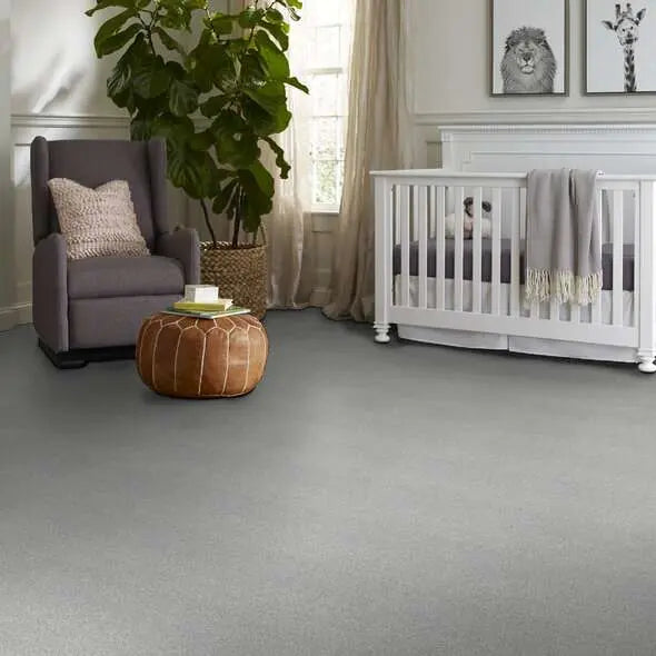 Colorwall - Tonal Comfort II - Carpet Shaw Floors
