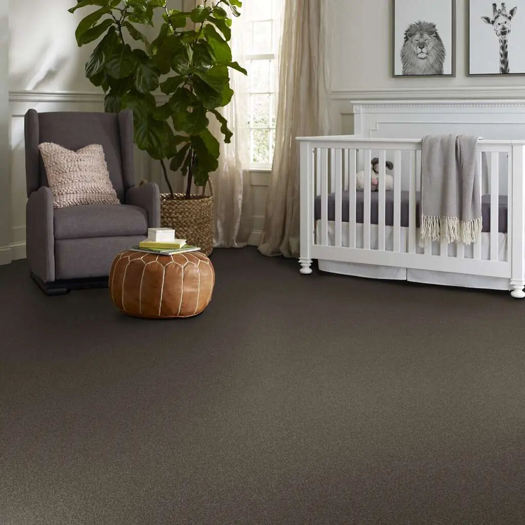 Colorwall - Tonal Comfort II - Carpet Shaw Floors