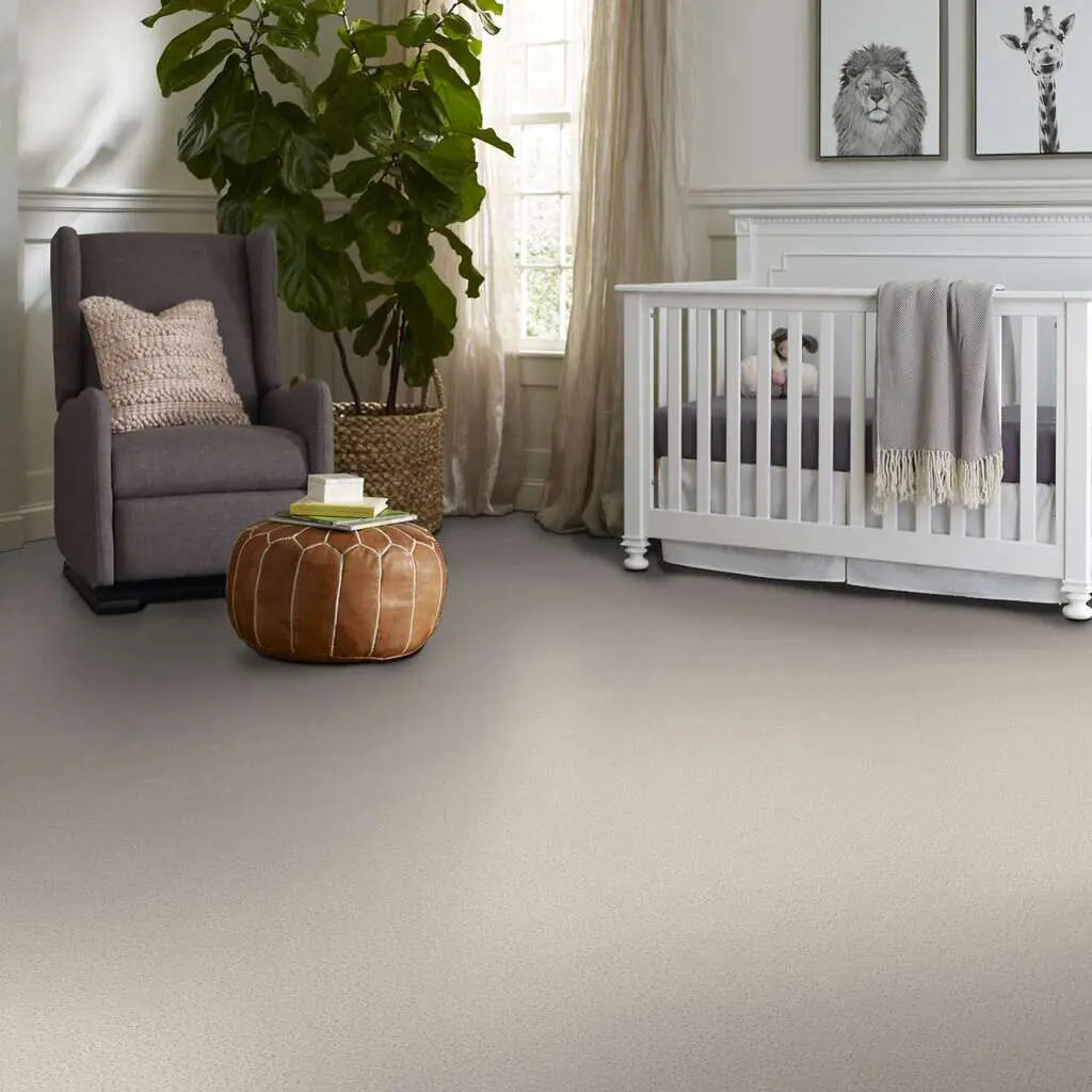 Colorwall - Canvas Comfort - Carpet Shaw Floors