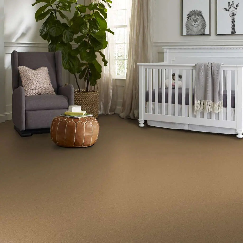 Colorwall - Canvas Comfort - Carpet Shaw Floors