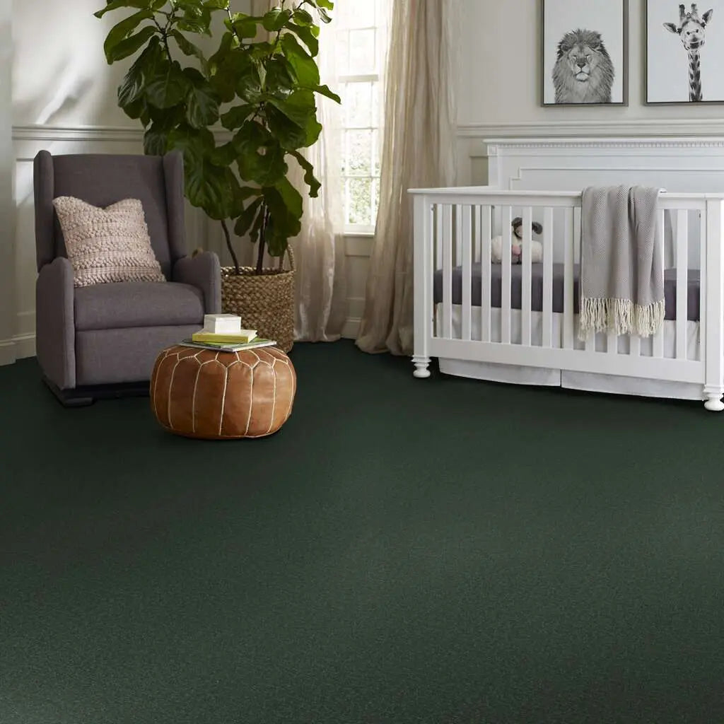 Colorwall - Canvas Comfort - Carpet Shaw Floors