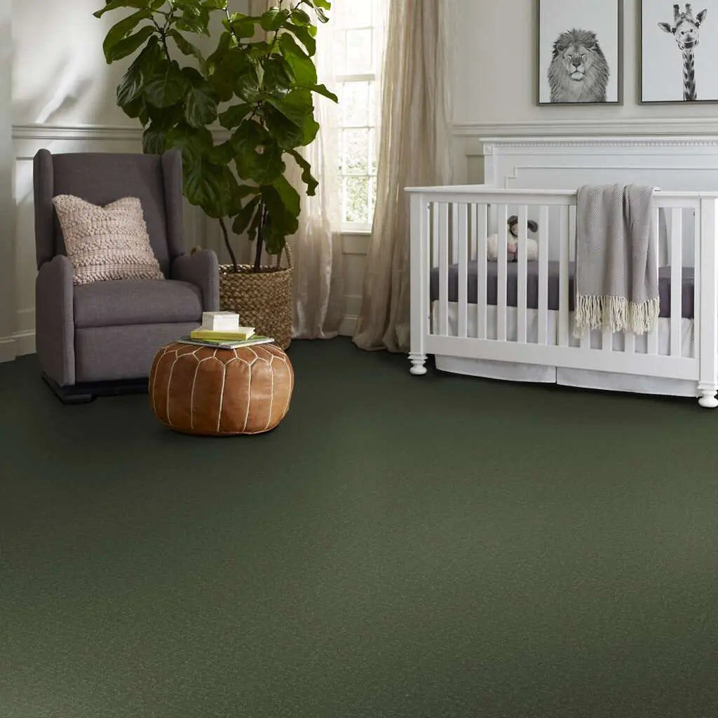 Colorwall - Canvas Comfort - Carpet Shaw Floors