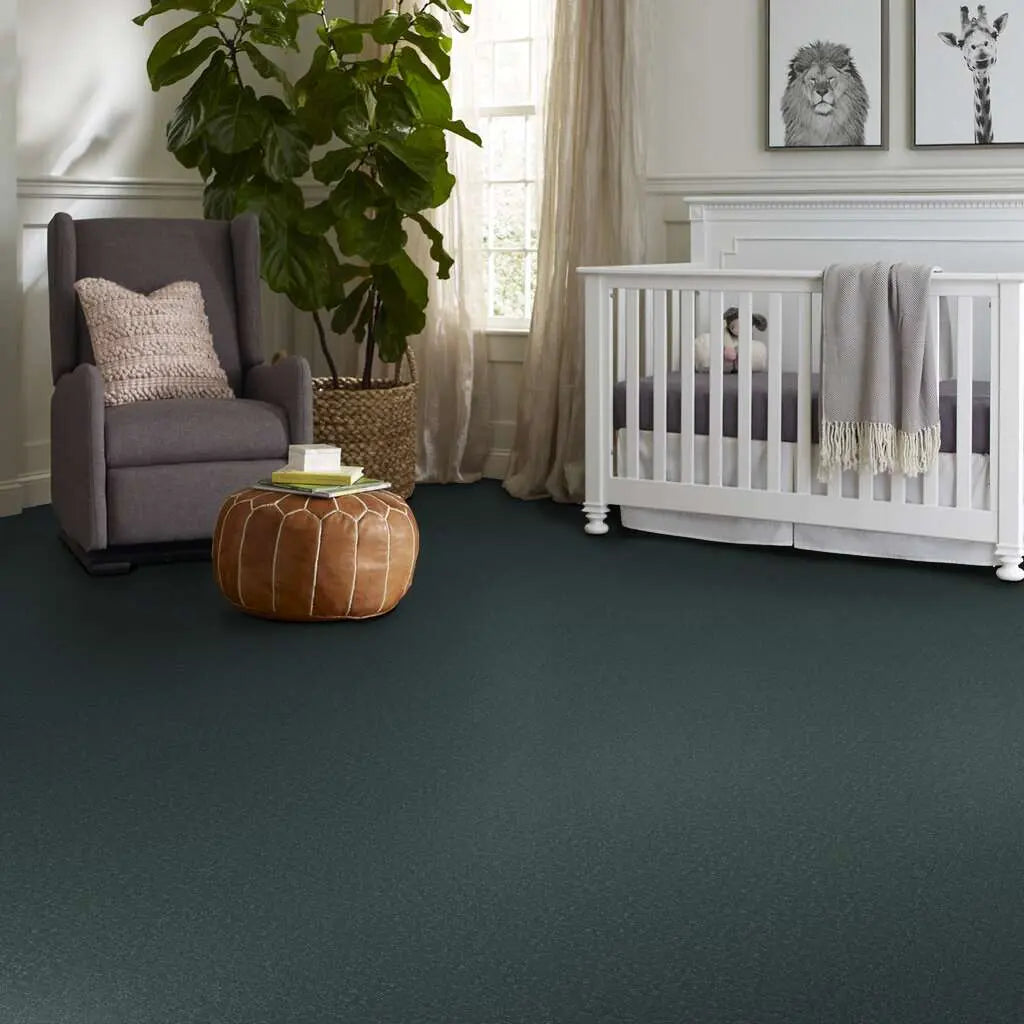 Colorwall - Canvas Comfort - Carpet Shaw Floors