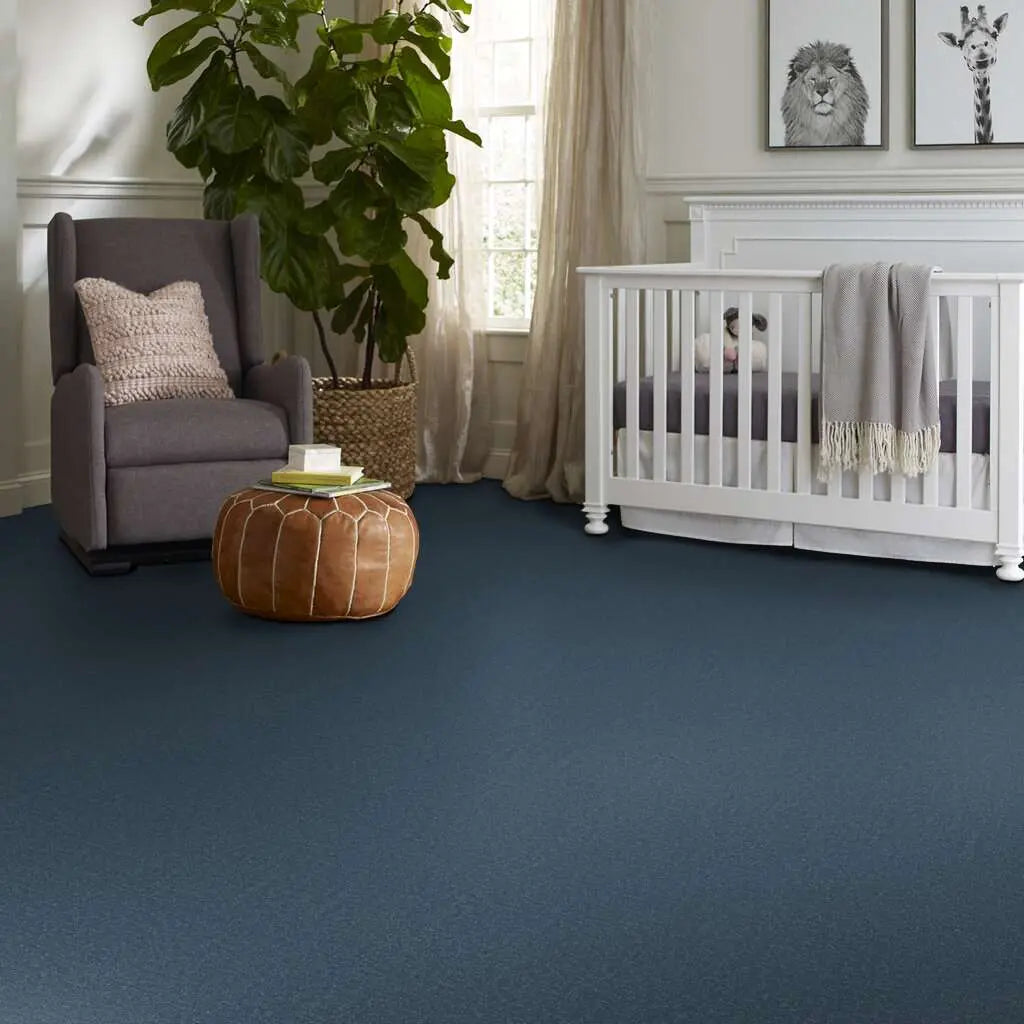 Colorwall - Canvas Comfort - Carpet Shaw Floors