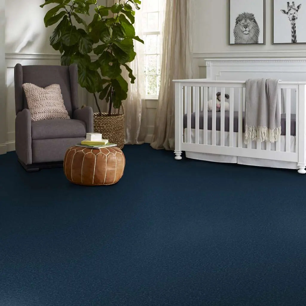 Colorwall - Canvas Comfort - Carpet Shaw Floors