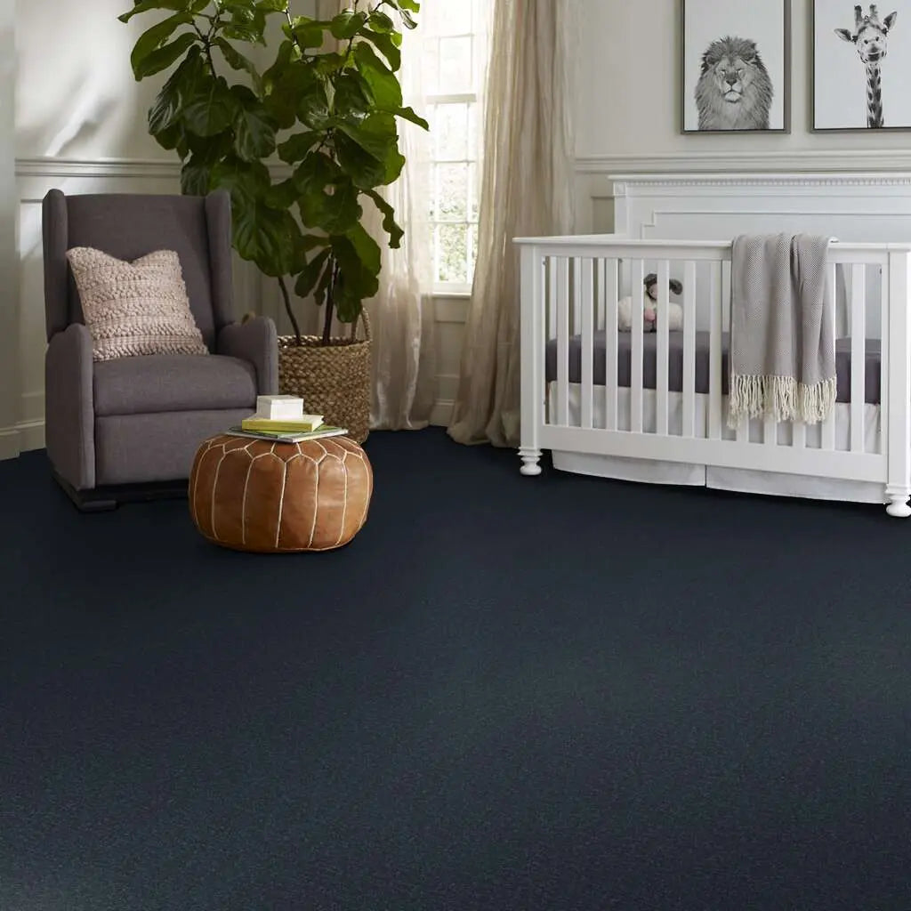 Colorwall - Canvas Comfort - Carpet Shaw Floors