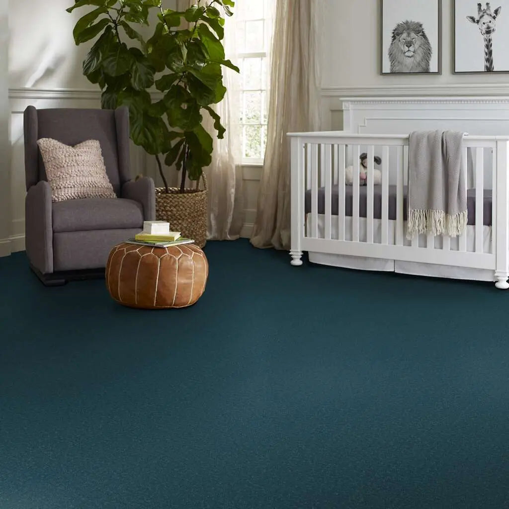 Colorwall - Canvas Comfort - Carpet Shaw Floors