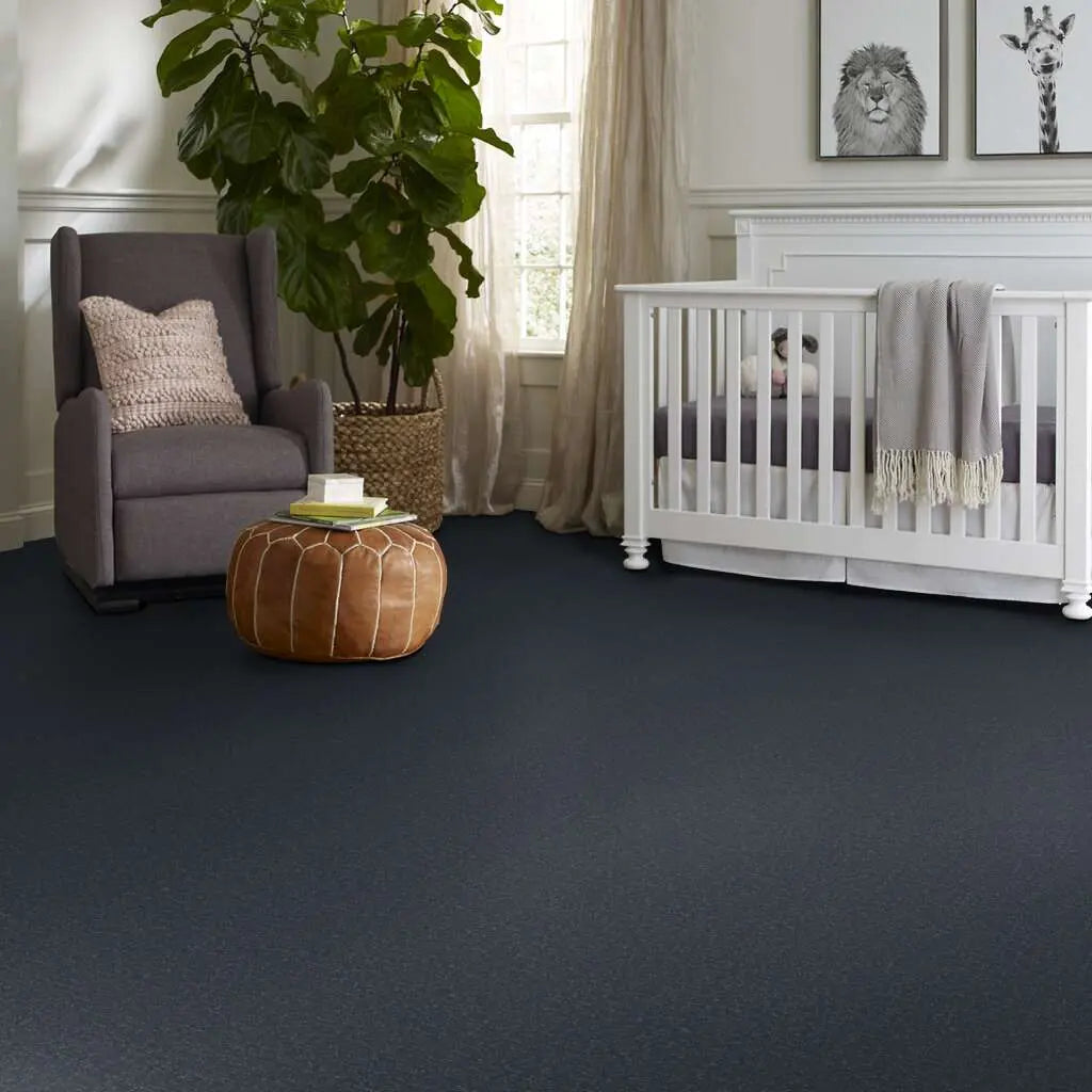 Colorwall - Canvas Comfort - Carpet Shaw Floors