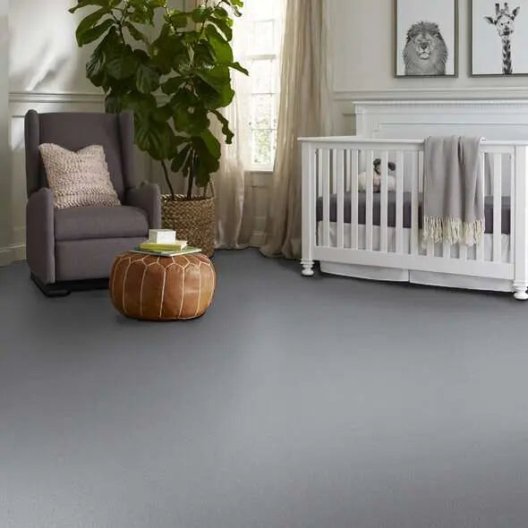 Colorwall - Canvas Comfort - Carpet Shaw Floors