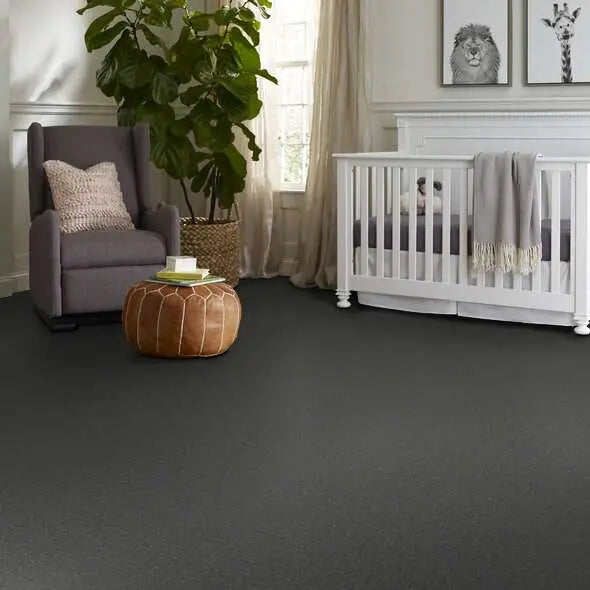 Colorwall - Canvas Comfort - Carpet Shaw Floors