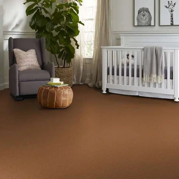 Colorwall - Canvas Comfort - Carpet Shaw Floors
