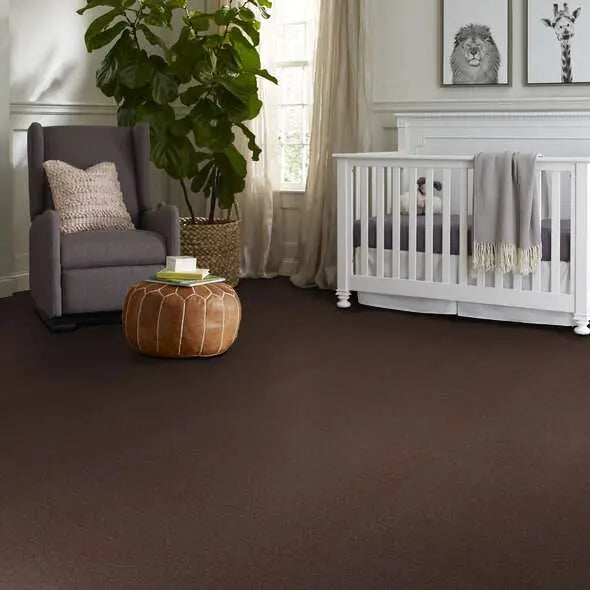 Colorwall - Canvas Comfort - Carpet Shaw Floors