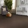 Colorwall - Canvas Comfort - Carpet Shaw Floors