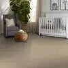 Colorwall - Canvas Comfort - Carpet Shaw Floors