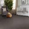 Colorwall - Canvas Comfort - Carpet Shaw Floors