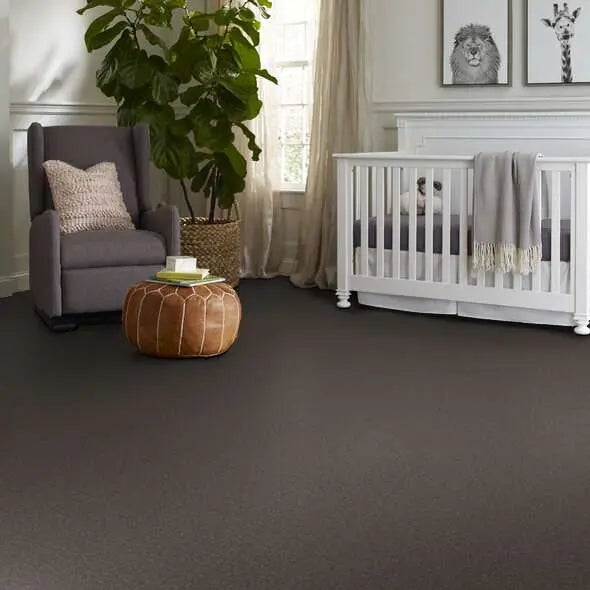 Colorwall - Canvas Comfort - Carpet Shaw Floors
