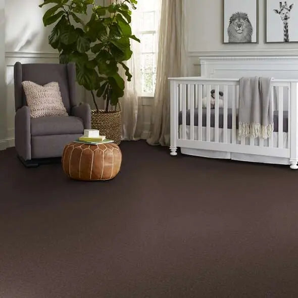 Colorwall - Canvas Comfort - Carpet Shaw Floors