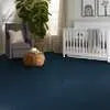Colorwall - Canvas Comfort Blue - Carpet Shaw Floors