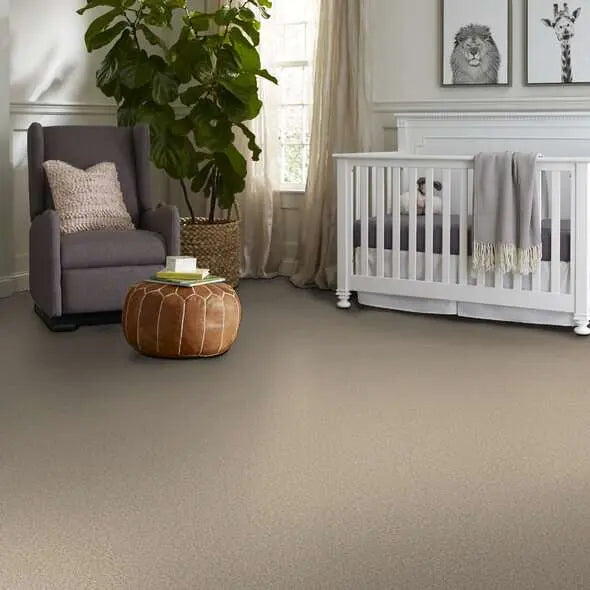 Colorwall - Tweed Comfort I - Carpet Shaw Floors