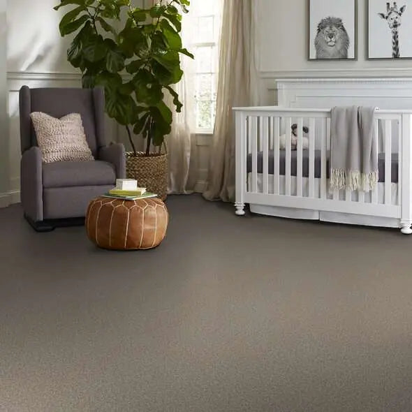 Colorwall - Tweed Comfort I - Carpet Shaw Floors