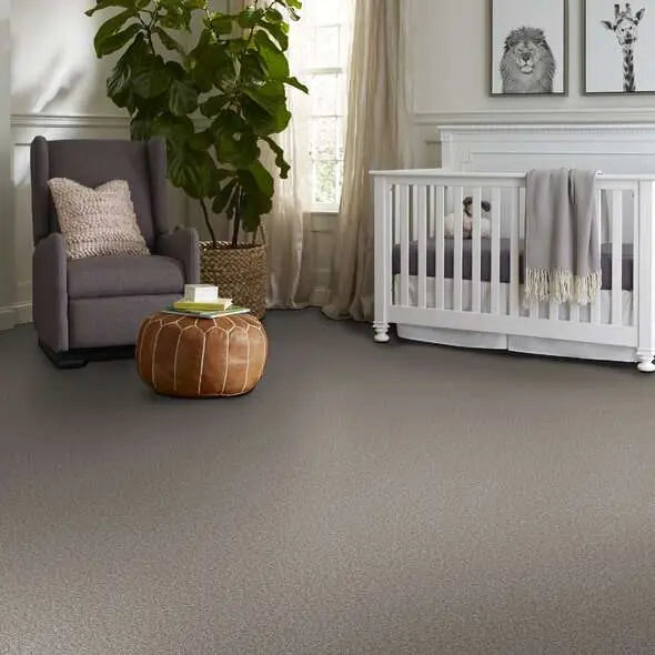 Colorwall - Tweed Comfort I - Carpet Shaw Floors