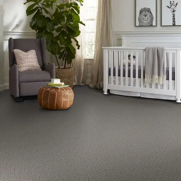 Colorwall - Tweed Comfort I - Carpet Shaw Floors